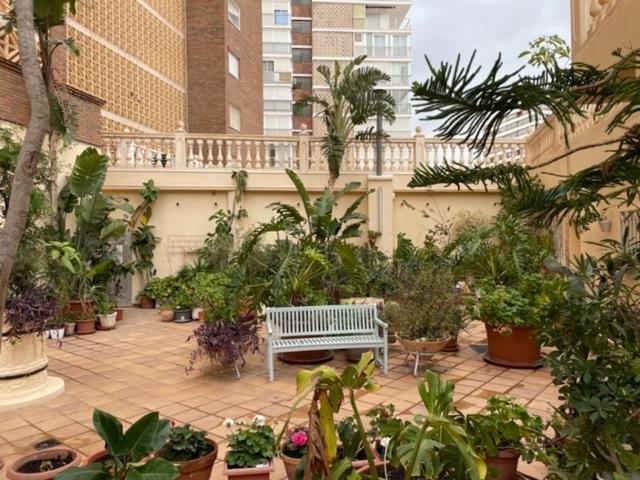 Precioso Apartamento A Estrenar En Primera Linea De Playa Μπένιντορμ Εξωτερικό φωτογραφία